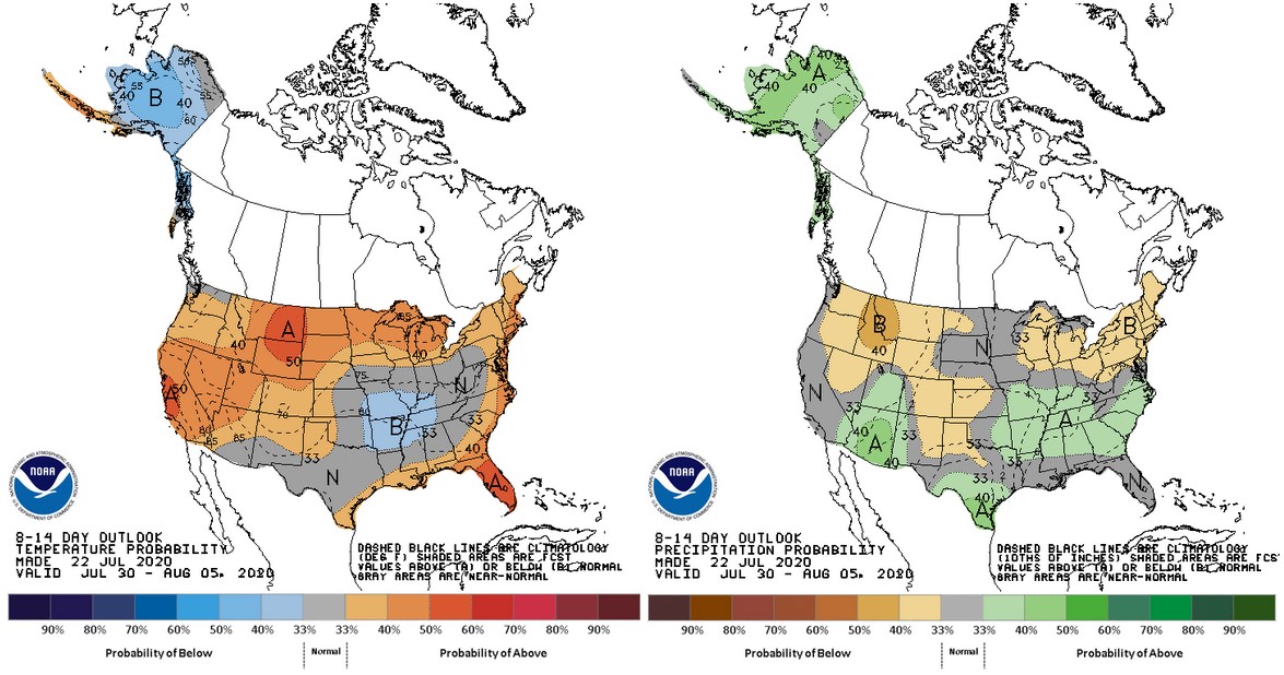 The 8-14 day (Jul 30-Aug. 5) outlook